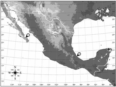 Phylogeography and Diversity Among Populations of the Toxigenic Benthic Dinoflagellate Prorocentrum From Coastal Reef Systems in Mexico